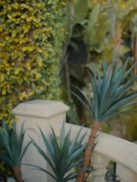 Episode 5 - The Return of Divorced Heiress