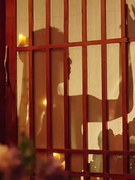 第45集 - 醫妃卿卿