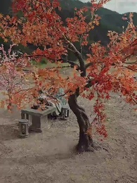 第5集 - 我有故人抱劍去