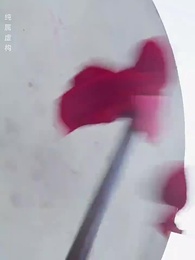 我助女皇穩江山 - Episode 8