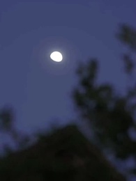 Épouser l'oncle de mon ex - Episode 69