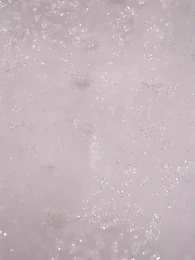 第13集 - 愛已殆盡唯有恨