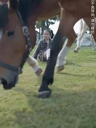 家長群曝光後京圈夫人颯翻天 - Episode 22