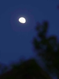 Épouser l'oncle de mon ex - Episode 25