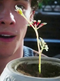 Episode 43 - [Synchron] Der ungewollte Partner