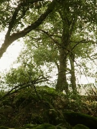 Episode 68 - [Synchron] Der ungewollte Partner