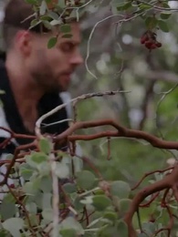 Episode 37 - [Synchron] Der ungewollte Partner