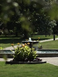 Ein Vogel im Käfig - Episode 55