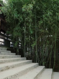 王の心 ただ一人 - Episode 76