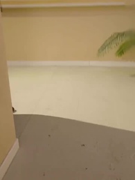 Phoenix and Dragon, the Matchless - Episode 45