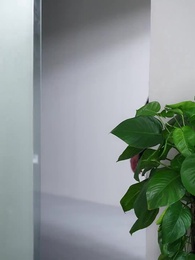 Episode 32 - Ayahku Komandan Naga