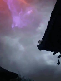 Episode 28 - Phoenix and Dragon, the Matchless