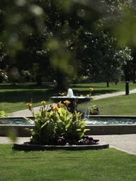 Episodio 55 - Como un pájaro enjaulado