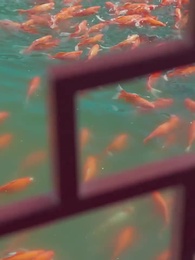 Episode 20 - Her Majesty