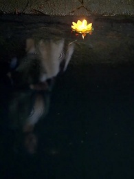 Episode 38 - Her Majesty