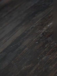 Path of Honor: An Immortal's Ascension - Episode 26