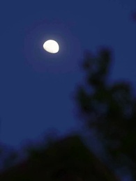 Episode 25 - Heirate den Onkel meiner Ex