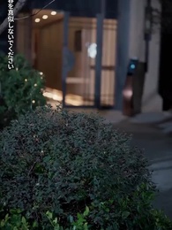 第54話 - 運命の三っ星