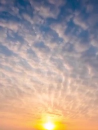 الحلقة 47 - سقوط الزعيم وعودة الذاكرة