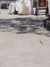 Vương Gia Tàn Phế Sủng Phi - Episode 34