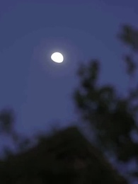 Episode 69 - Heirate den Onkel meiner Ex