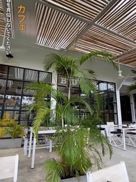 運命の三っ星 - Episode 53