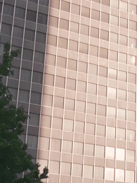 Episode 65 - Alpha, Don't Love Me!