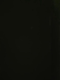 Entkomme der Umarmung des Milliardärs - Episode 65