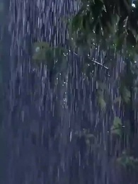 第24話 - [吹替] 巡り逢えぬ恋