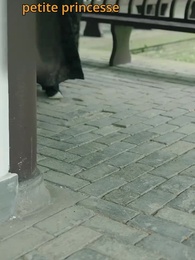 Tu es mon souhait de ma vie - Episode 39