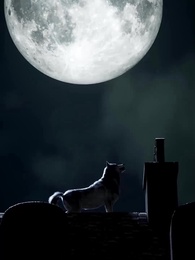 La Luna louve du Roi Alpha - Episode 1