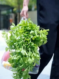 祁教授，借個婚 - Episode 28