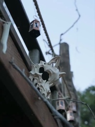 Episódio 43 - A Alfa Proibida