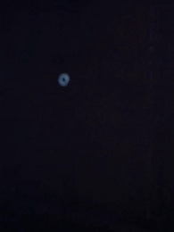 第9集 - 祁教授，借個婚