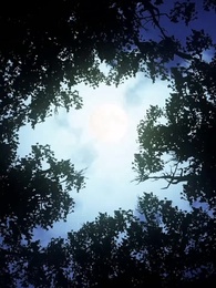 A Alfa Proibida - Episode 52