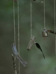 Episódio 48 - A Alfa Proibida