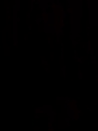 Épisode 18 - La Luna louve du Roi Alpha