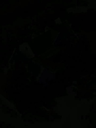 Die wolfslose Luna des Alphakönigs - Episode 80