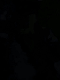 Die wolfslose Luna des Alphakönigs - Episode 78