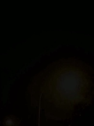 Episode 31 - Die wolfslose Luna des Alphakönigs