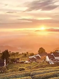 Episode 6 - Menikah Kilat di Umur 50
