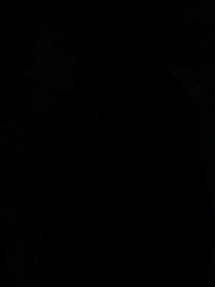 Episode 7 - Die wolfslose Luna des Alphakönigs