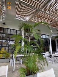 53화 - 삼둥이는 내 선물