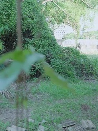 Episode 67 - Zurück beim Alpha – Liebe entflammt neu