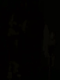 Episode 61 - Die wolfslose Luna des Alphakönigs