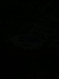 Episode 77 - Die wolfslose Luna des Alphakönigs