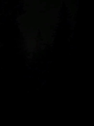 Episode 2 - Die wolfslose Luna des Alphakönigs