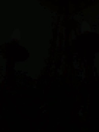 Die wolfslose Luna des Alphakönigs - Episode 44