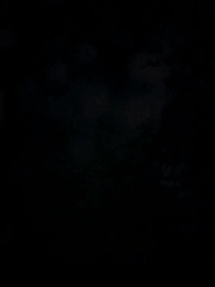 Episode 1 - Die wolfslose Luna des Alphakönigs