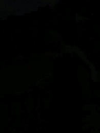 Episode 8 - Die wolfslose Luna des Alphakönigs